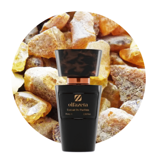 chogan olfazeta parfum nr 22 terre d'hermes hermes