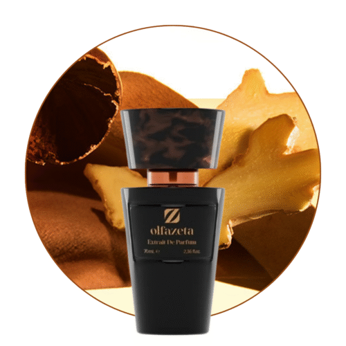 olfazeta chogan parfum nr 65 boss the scent hugo boss